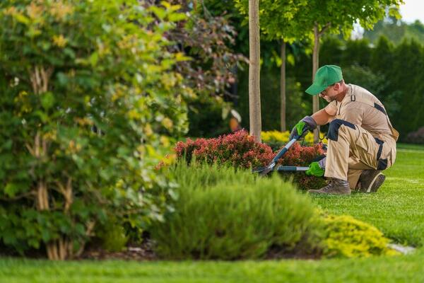 Gardeners and landscapers